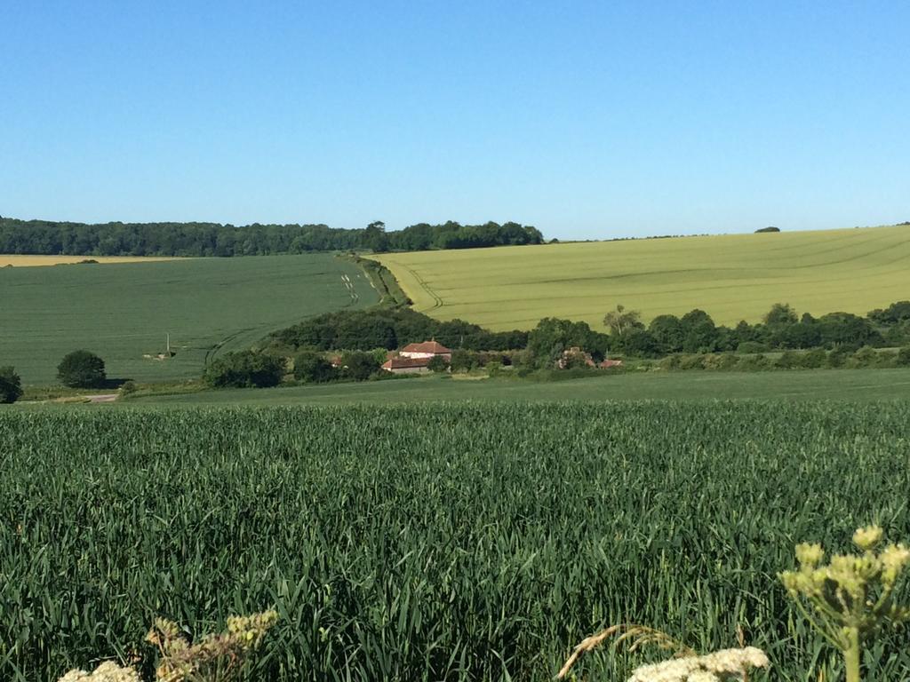 Shepherds Barn West Dean Esterno foto