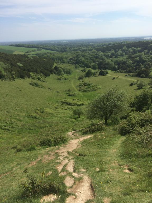 Shepherds Barn West Dean Esterno foto
